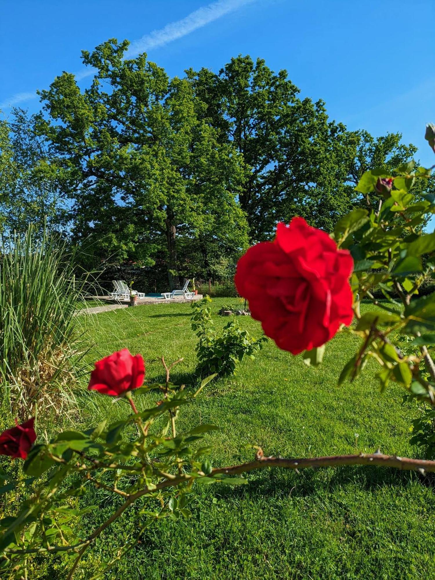 Vacation Home Keskic Velika Gata 外观 照片